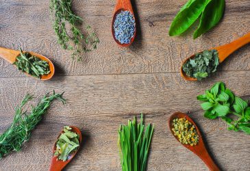 サプリメントコーディネーター講習